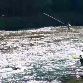 引き抜くまでに1分以上かかる？の画像