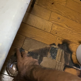 真一アーティスト犯罪ばれの画像