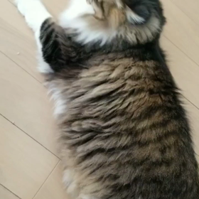 今だからわかることの画像