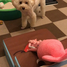 ネタ枯れの画像