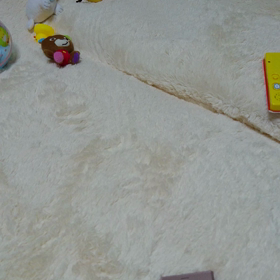 もんちゃん、まっしぐらの画像