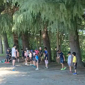 6/17 バランス⑤の画像