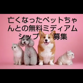 ペットちゃんとの無料ミディアムシップ募集の画像