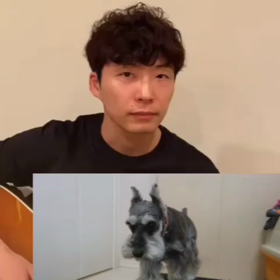 愛犬と、うちで踊ろうの画像