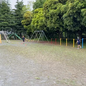 明日への調整(走り幅跳び)⑤の画像