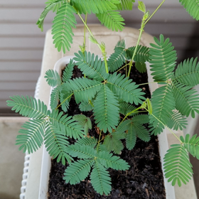 三連休って事忘れてましたの画像