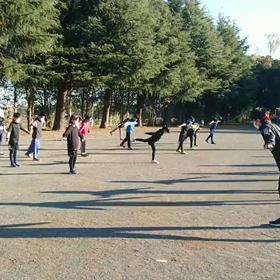 バランス⑧の画像