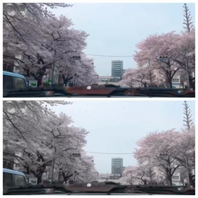 動画差し替え再投稿の画像