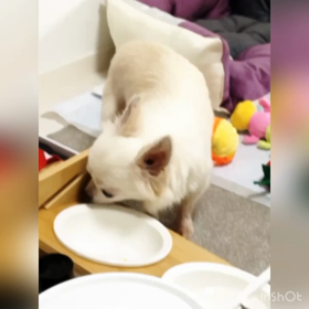 エレが来てから7日目♪の画像