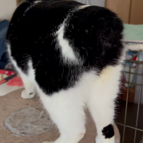 朝のお見送りの画像