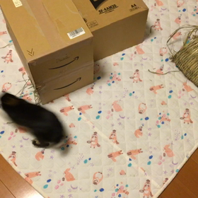 本日もお変わりなく…の画像