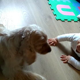 親戚の子の画像