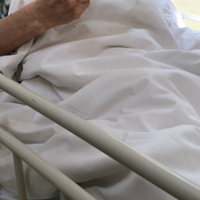 桜ソングの画像