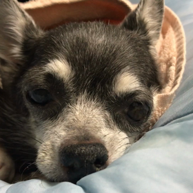 お別れの日の画像