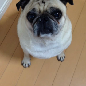 腹減ったの画像