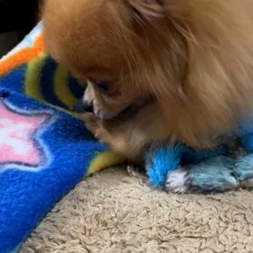 ちょっと元気になって、良かったの画像