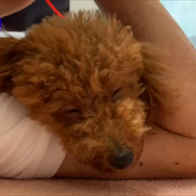 腕まくらの画像