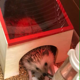 75日目水を飲むの画像