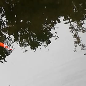 女性の本心は自分でも分かりづらいかも…わたしが気づいたキッカケについて書きました❗の画像