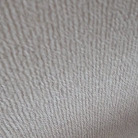 今日のシロくんの画像