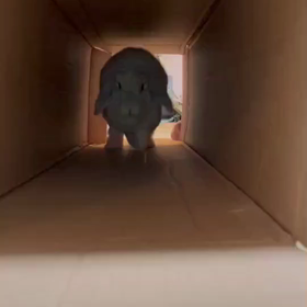 きたきた〜の画像