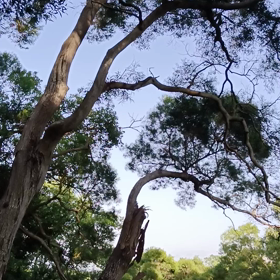 最後一天在這裡慢跑の画像