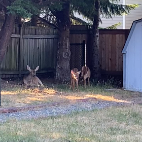 面接？！の画像