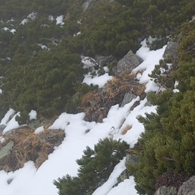 いざ初冬の北アルプスへ～番外編！動画でどうぞ！の画像