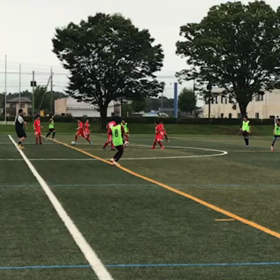 連戦です、少しずつ成果が出てきたかもねの画像