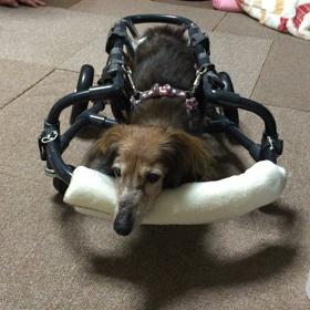 友人に感謝の画像