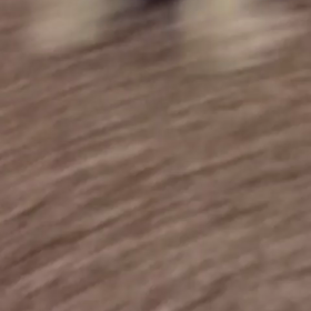 春くんウトウト…♡の画像