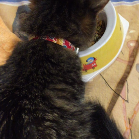 わがままの画像