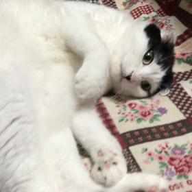 マッサージ中の画像