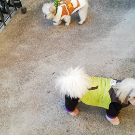 いつも通りの朝の画像