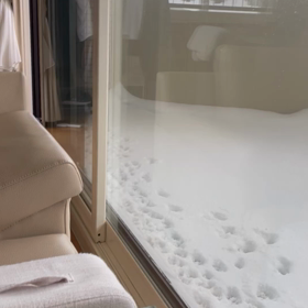 もも　　ベランダで遊ぶ！の画像