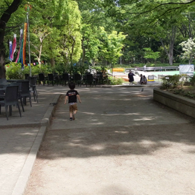 ハトおっかけの画像