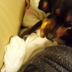 郁の激おこぷんぷんちーんの画像