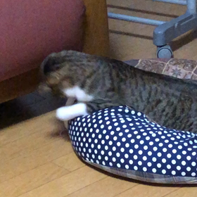 6回目ワクチンでジム活出来ず…の画像