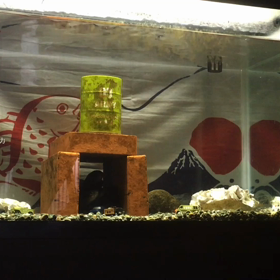 エサやりの画像