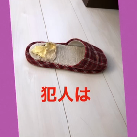 やんちゃの画像