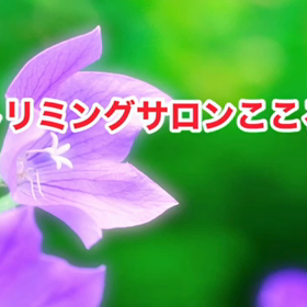 スライドショーの画像