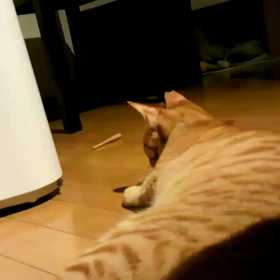 壊れる～。の画像