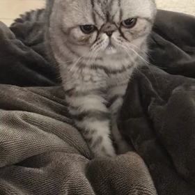 大きくなっても変わらずの画像