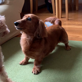 怖いセンパイの画像