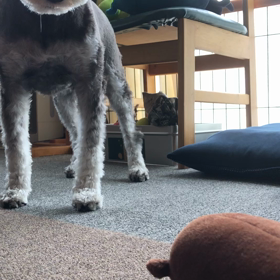 出勤前のひと遊びの画像