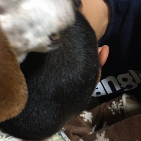 頭グリグリの画像