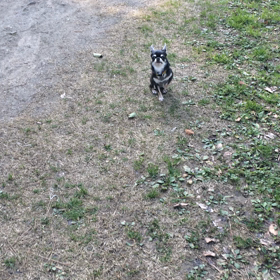 待ぁ〜て、待ぁ〜ての画像