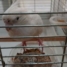 ちぃちぃの画像