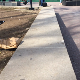 島の海鳥たちの画像