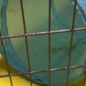 今日のふづきちゃんの画像